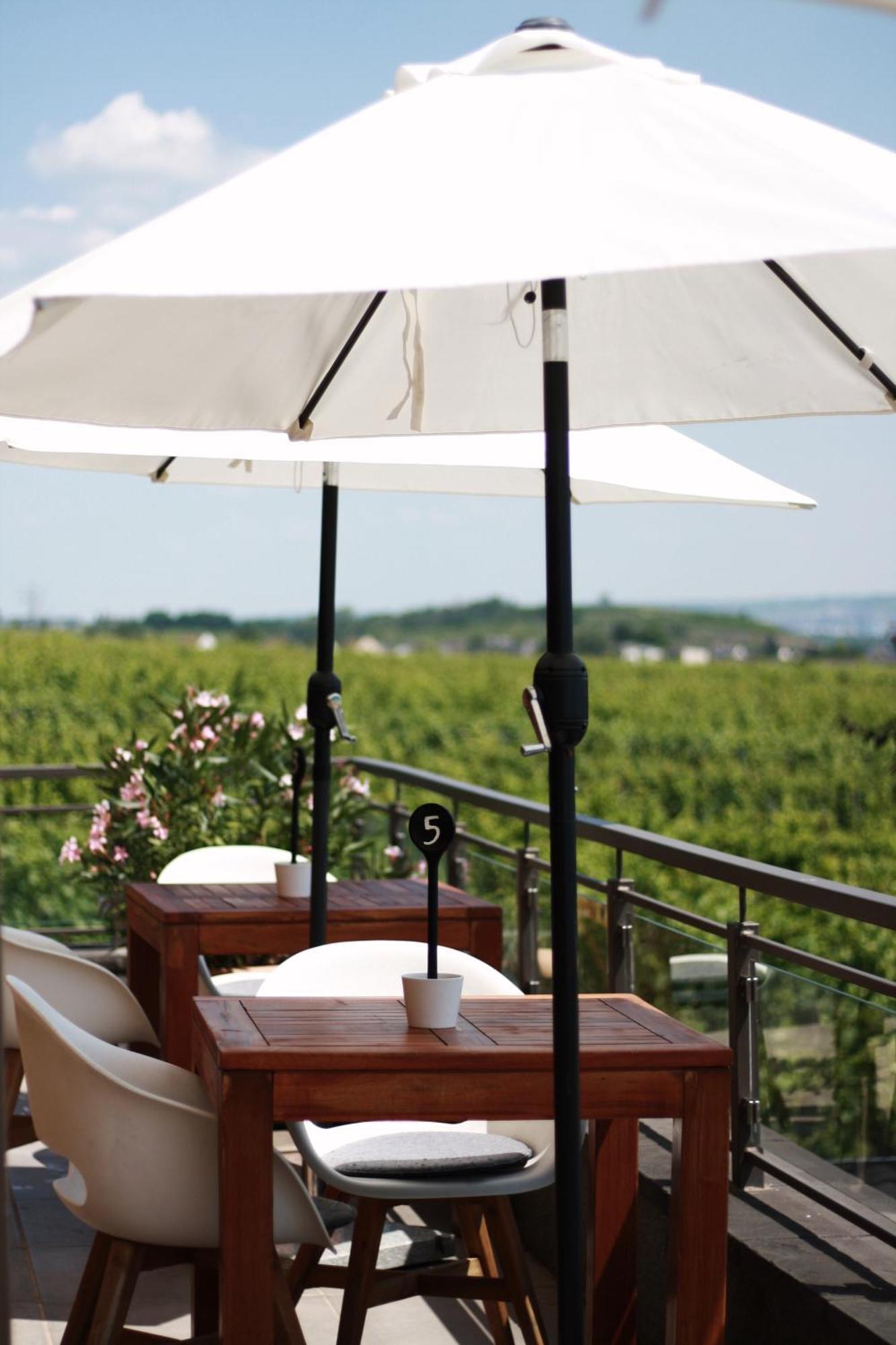 Weingut Magdalenenhof Hotel Ruedesheim am Rhein Exterior photo